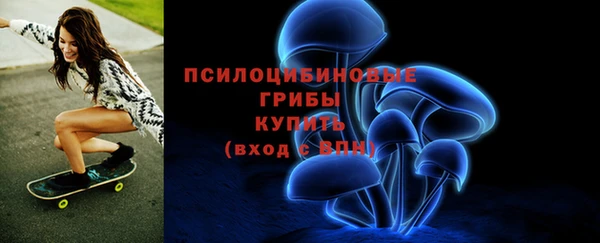кокс Белокуриха