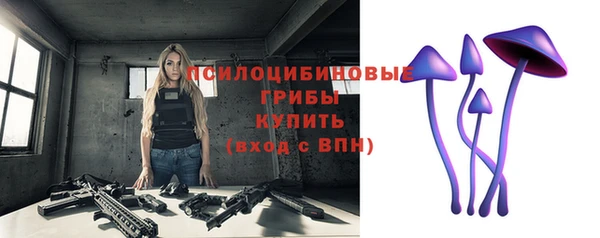 эйфоретик Белоозёрский