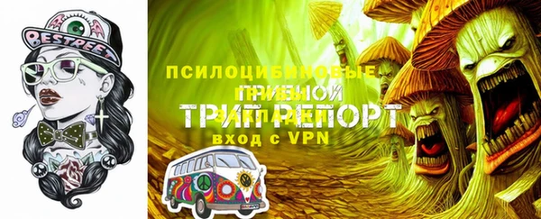 молекула духа Беломорск