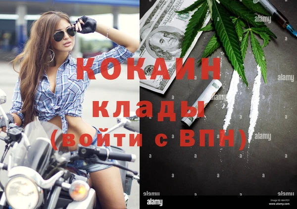 кокс Белокуриха